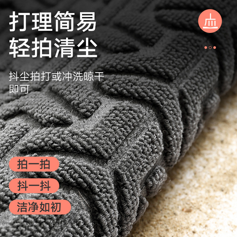 大江地垫入户门垫2026新款简约家用脚垫进门门垫玄关防滑除尘地毯,淘宝优惠券,粉丝福利购,淘宝优惠卷