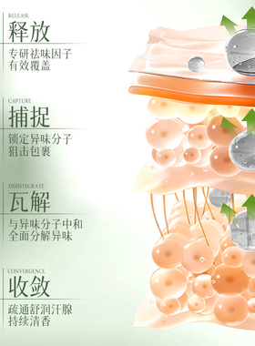 植物草本精华止汗净味香体棒腋下除臭去异味持久留香干爽止汗膏
