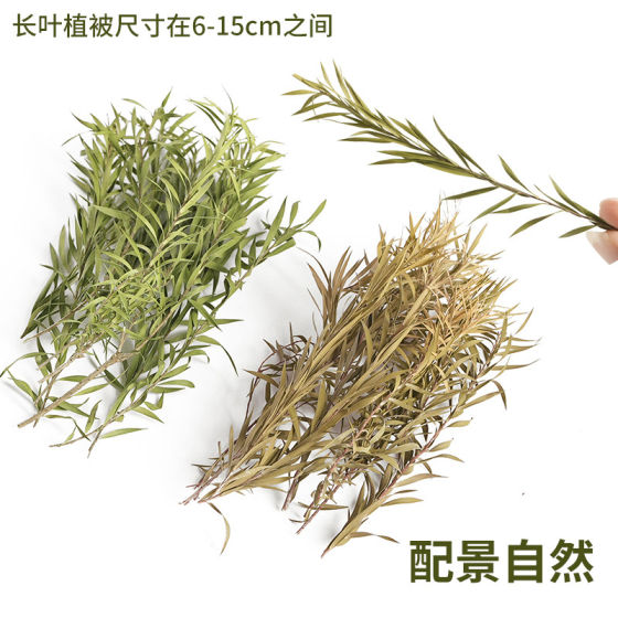 Vegetation reeds flowers sand table material model diy scene simulation production waterscape bamboo small trees shrubs