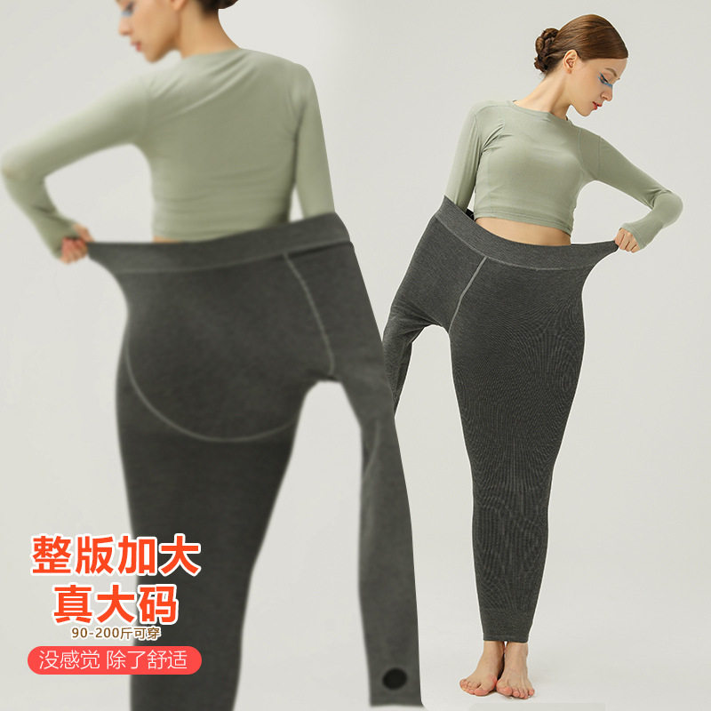 1200d棉竖条纹薄绒加档连裤袜 西孚连裤袜/打底袜