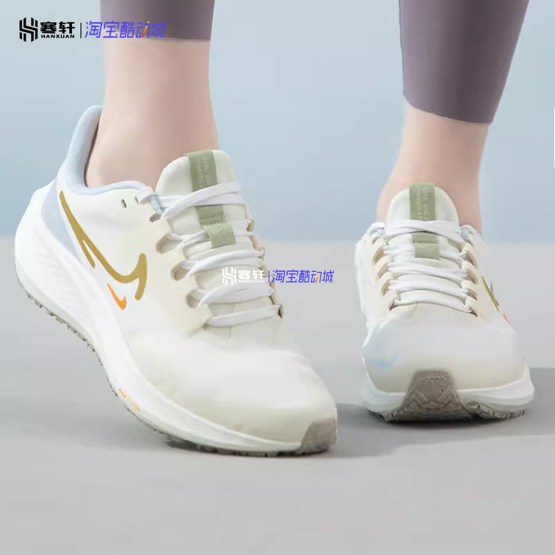 Nike/耐克 Pegasus39 Shield飞马女子防泼水公路跑步鞋FV8112-171 - 图1