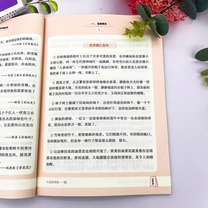 学霸都在用的作文分类金句全5册 小学生三四五六年级写作解析技巧素材精选好词汇好句美文提高作文水平高满分素材八百例美文提分