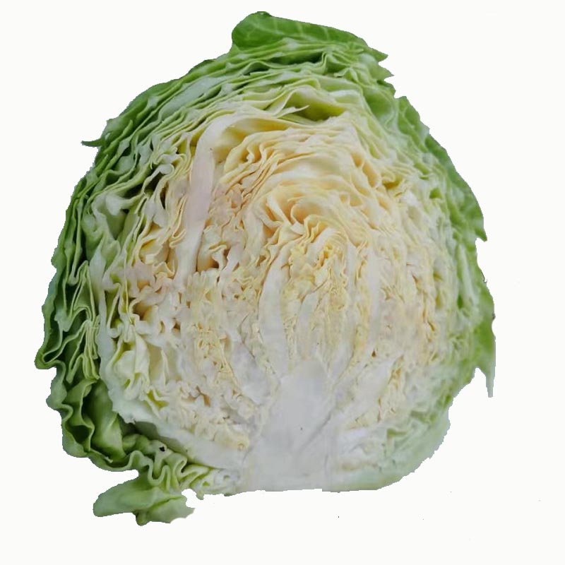 牛角心甘蓝种子争春越冬包菜种农户大面积种植蔬菜种孑秋冬季包邮