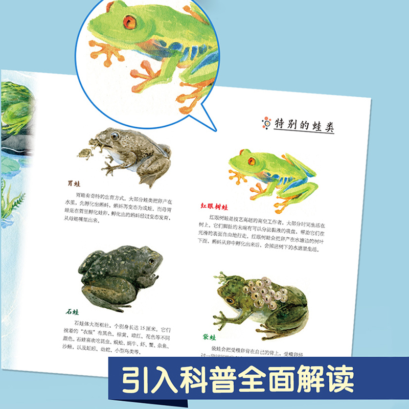 【精装硬壳绘本】小蝌蚪找妈妈（陪孩子读绘本·科学启蒙系列）5-8岁儿童睡前故事书 - 图0