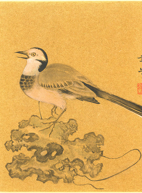 字画海派花鸟小品卡纸书画收藏