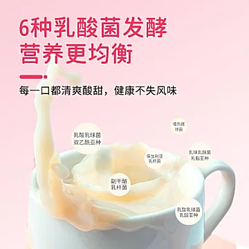 小样乳酸菌饮品共100gx24瓶[6元优惠券]-寻折猪