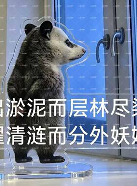 可爱爆款负鼠表情包亚克力立牌