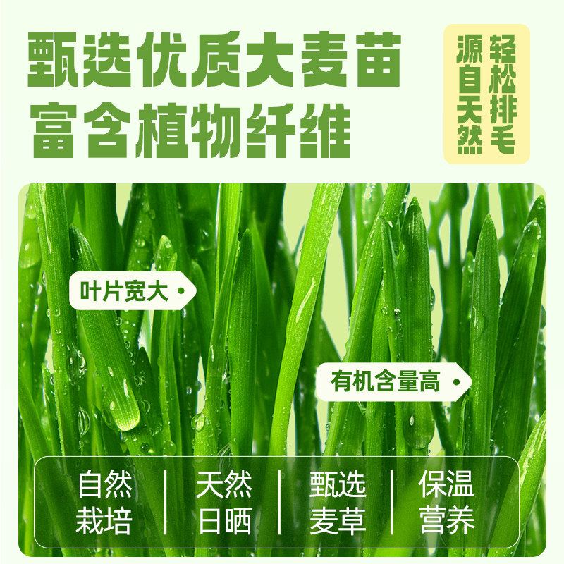 Begogo猫草棒磨牙棒冻干猫咪零食化毛球排毛鸡肉猫草洁齿宠物零食,淘宝优惠券,粉丝福利购,淘宝优惠卷