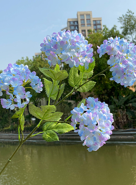 花艺仿真仿真花绣球花婚庆绣球花
