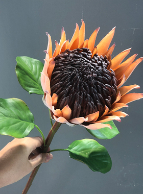 高档橱窗造景热带植物艺术插花