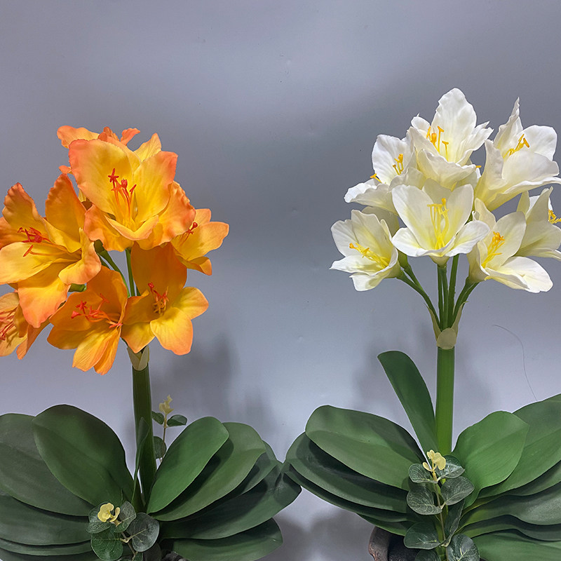 仿真手感君子兰花盆栽客厅室内装饰花艺摆件餐桌摆放装饰,淘宝优惠券,粉丝福利购,淘宝优惠卷