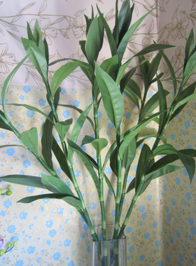 富贵竹田园乡村房间绿植装饰花