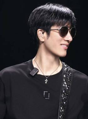 欧洲明星王力宏演唱会同