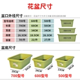 Алиса радужная оболочка фрукты и растительные бассейны Прямоугольное растительное бассейн Балкон Балкон Балкон Растение Смора П.П.