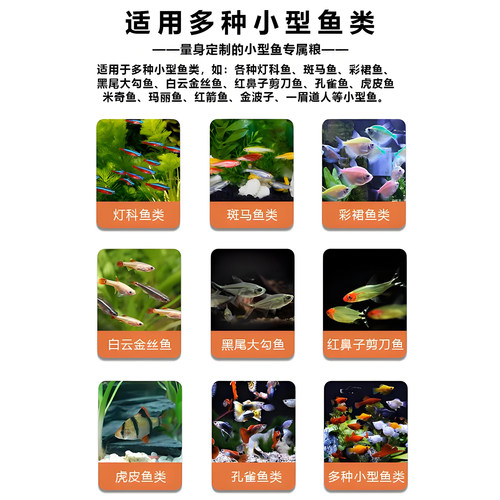 鳑鲏专用鱼饲料小型原生观赏鱼鱼粮增色增艳小颗粒高蛋白通用鱼粮 - 图2