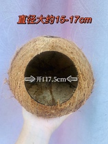 Hainan Wenchang raw material natural coconut shell flower pot planting decorated hamsters to hide from nest birds to keep warm over winter