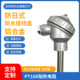 WZP230 temperature sensor thermal resistor PT100