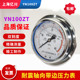 YN100ZT shock-resistant pressure gauge Shanghai Yichuan
