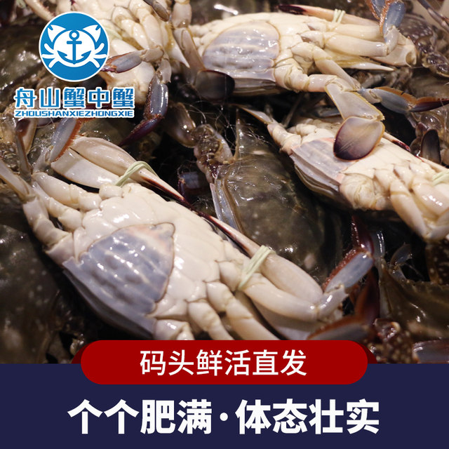 Zhoushan swimming crab meat female crab light cream crab