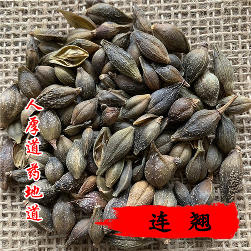 精选 中药材 连翘 青翘 50克 可打粉 满包邮 - 图1