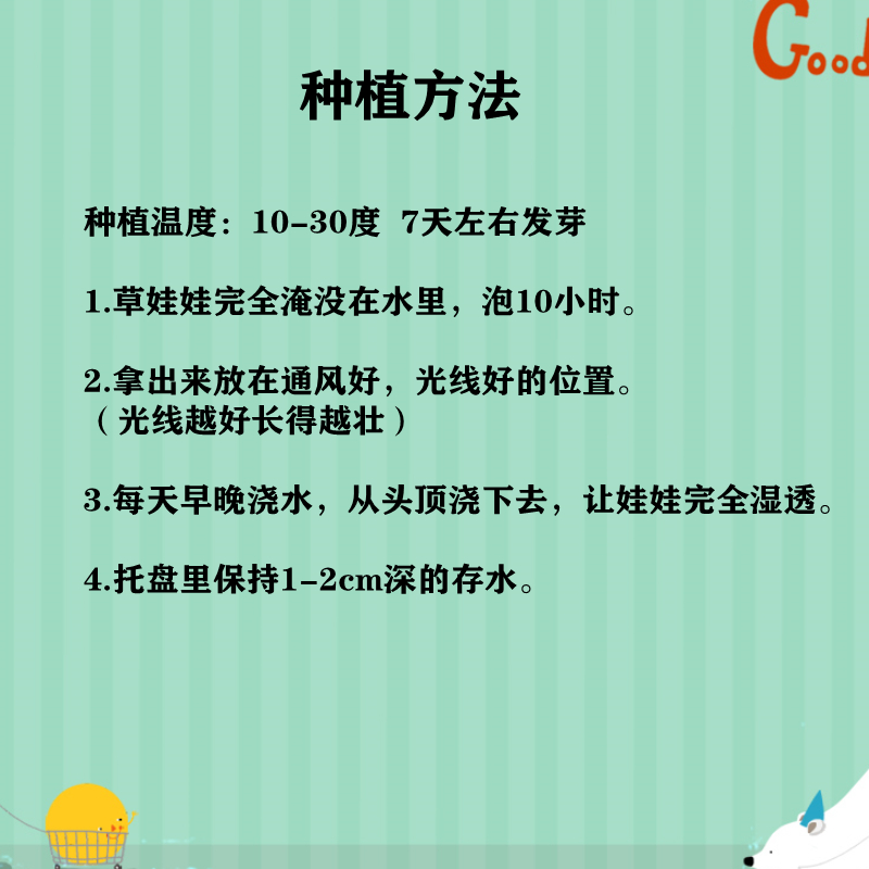 幼儿园儿童种植小盆栽 头上长草植物宝宝diy种草种子草头娃娃趣味 - 图3