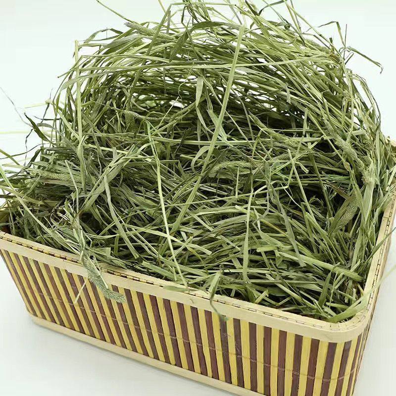2023年新草提摩西干草半烘干优质头茬龙猫豚鼠宠物兔饲料干草饲料,淘宝优惠券,粉丝福利购,淘宝优惠卷