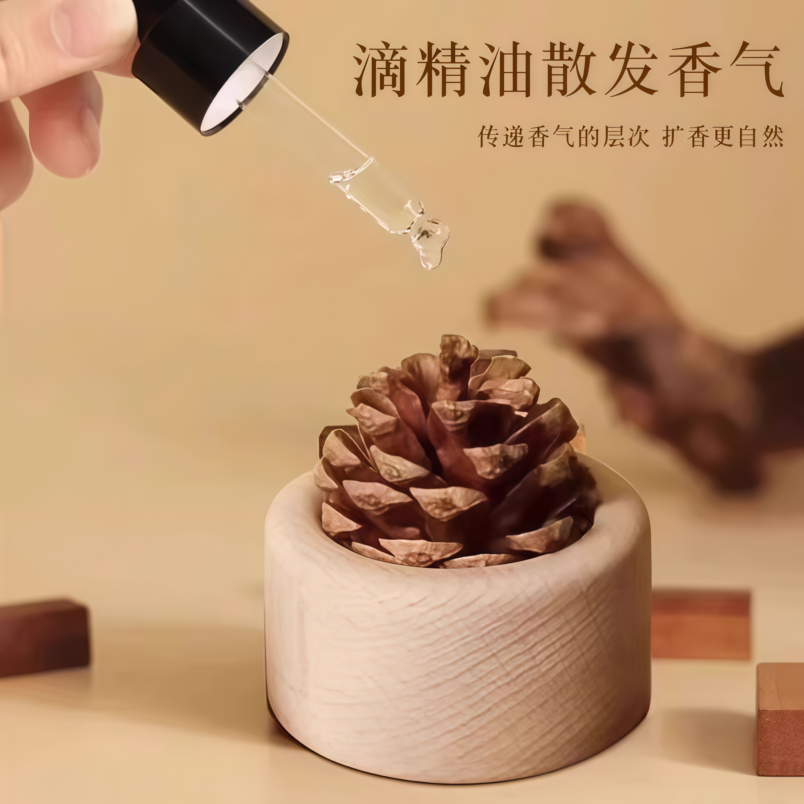 原木松果黑胡桃扩香木果实无火香薰车载卧室书房办公桌摆件香氛,淘宝优惠券,粉丝福利购,淘宝优惠卷