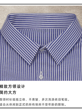 蓝色条纹假领子男百搭假领