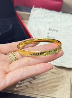 高级感沙金碎冰冰龙鳞手镯闭口设计感仿真金黄金色雕花复古款镯子