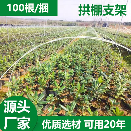 新型玻璃纤维小拱棚支架拱杆农用育苗蔬菜棚骨架保温棚西瓜棚骨架