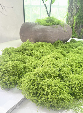 仿真苔藓草皮仿生人造假青苔微景观布置摆件草坪盆景盆栽铺面造景
