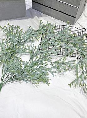 仿真沙漠热带雨林植物大鹿角叶壁挂塑料藤工程造景装饰垂挂绿植挂