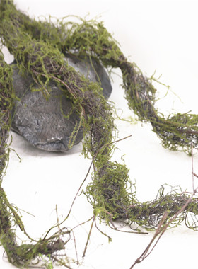 商城绿植仿真青苔假树藤