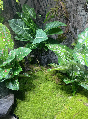 仿真绿植造景室内景观装饰