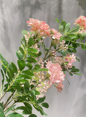 绢花室内树枝枝含笑花