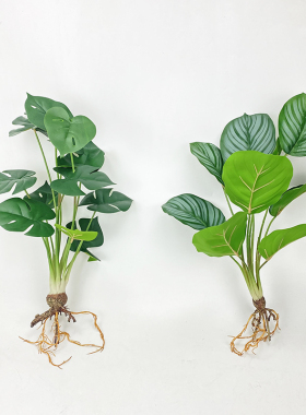 龟背叶手感森系造景绿色仿真植物