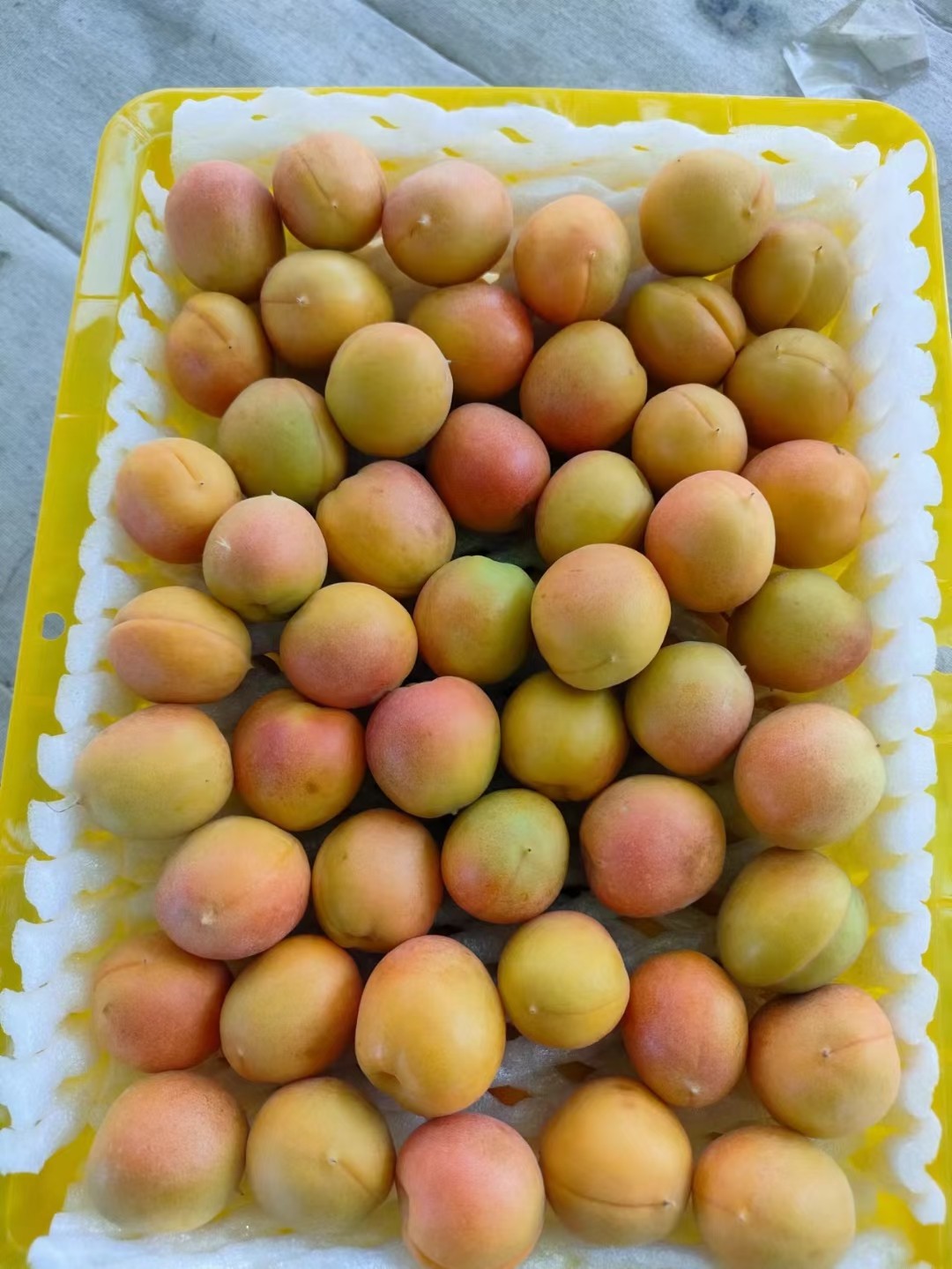 【顺丰4斤】正宗新疆阿克苏小红杏吊干杏子新鲜水果四团小红杏,淘宝优惠券,粉丝福利购,淘宝优惠卷