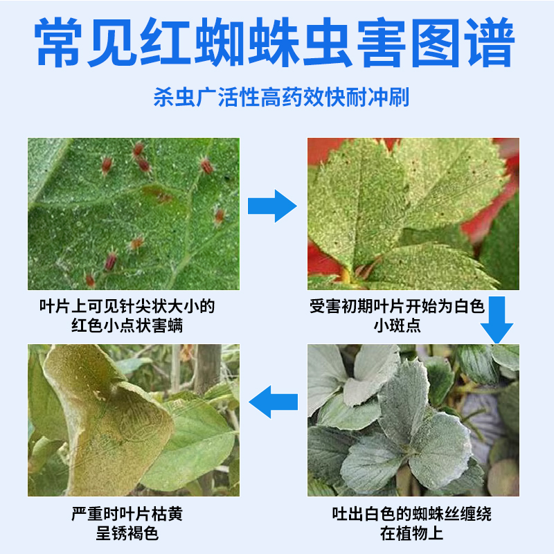 红蜘蛛杀虫剂专用药虫卵双除联肼乙螨唑花卉常备花药月季柑橘农药 - 图0