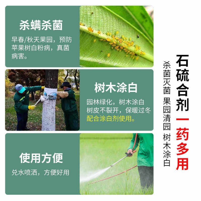石硫合剂冬季果园清园葡萄茶树柑橘苹果杀虫杀螨杀菌蚧壳虫白粉病