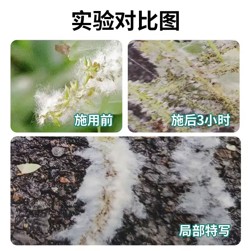 柳树飞絮药杨树梧桐法桐树飘絮森活抑絮灵2号物理防飞絮抑制剂粘 - 图1