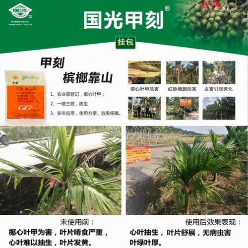 国光甲刻吡虫啉杀虫单椰心叶甲杀虫剂椰甲必治椰甲清槟榔棕榈树药 - 图1