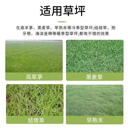 国光格尔草坪一年生阔叶杂草空心莲子草马尼拉高羊茅黑麦草除草剂 - 图2
