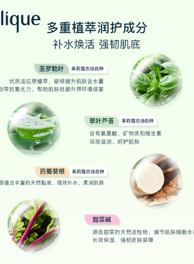 茱莉蔻翠叶罗勒保湿花卉水