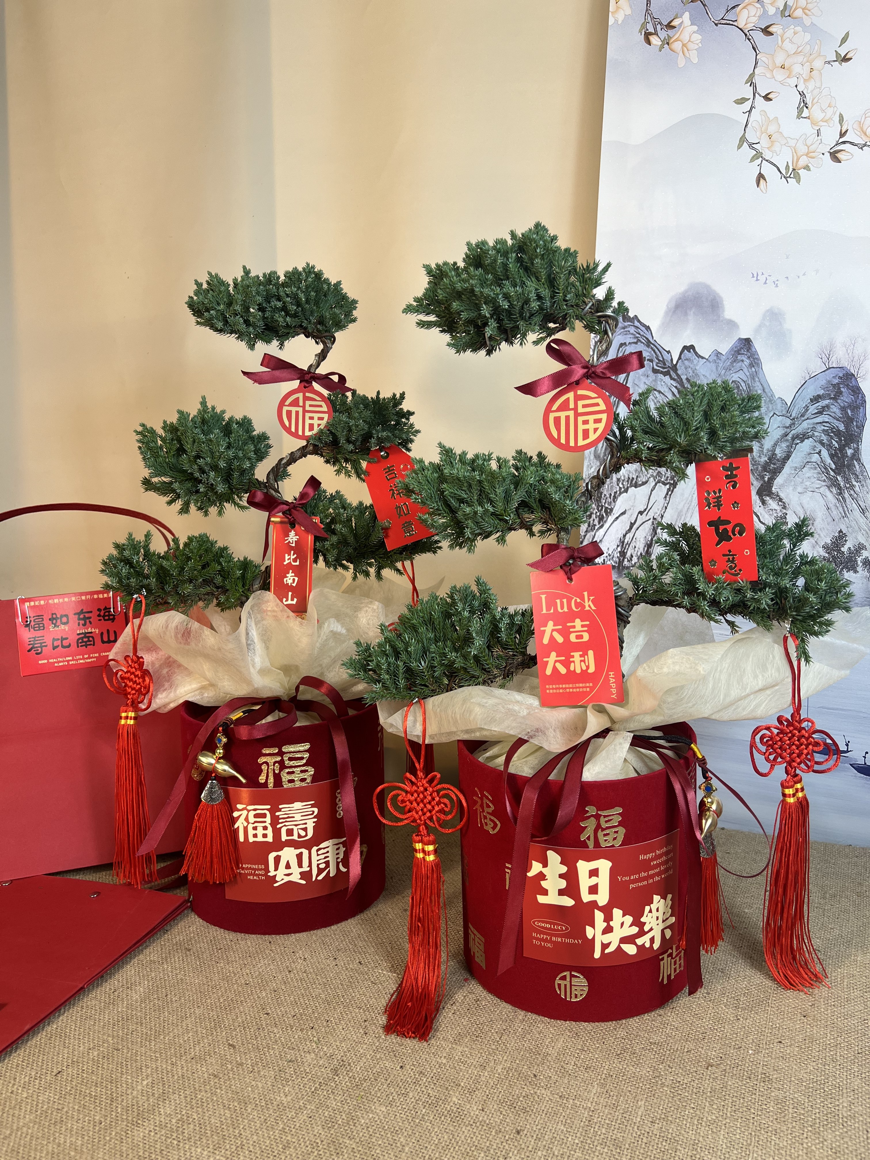 顺丰包邮五层塔松盆栽祝寿新居乔迁开业送领导生日礼物松树盆景,淘宝优惠券,粉丝福利购,淘宝优惠卷