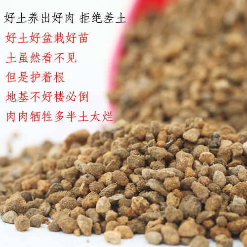 进口多肉营养土铺面二本线赤玉土日向石桐生砂植金石鹿沼土特价 - 图0