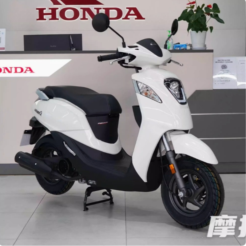 适用于新大洲本田NS110Q专用自喷漆钛银灰划痕修复补漆白色原厂漆 - 图0