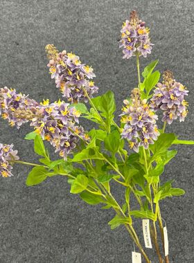 仿真花 3头千蕨花 日本兰花小清新粉色家居插花摆件装饰 婚庆花艺