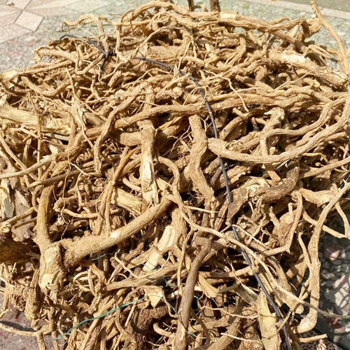 野生 倒吊黄根黄花倒水莲 黄花大远志观音串倒吊王 500g包邮 - 图1