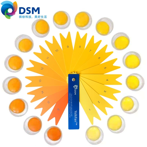 Голландский эммангулин желтый импортный бройлер корм для корма для птицы.