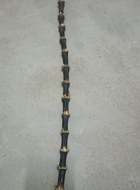 黑老料紫竹鞭紫竹老根烟斗耗材老竹节烟斗柄紫竹鞭手串珠子料包邮